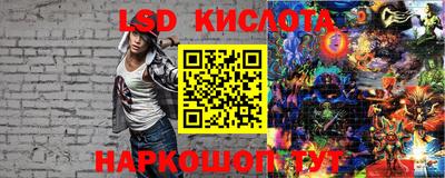 крисы Краснознаменск