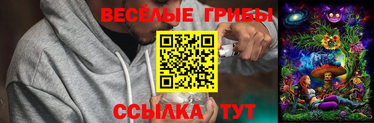 Псилоцибиновые грибы ЛСД  Вход с VPN  Ярославль 
